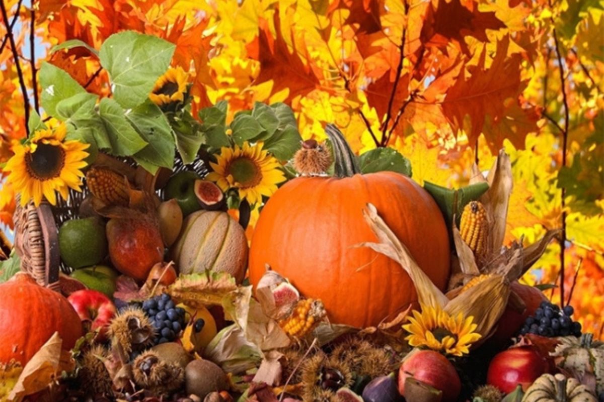 Natura morta autunnale. Zucca, girasoli, castagne, foglie colorate. Dolci d'autunno.