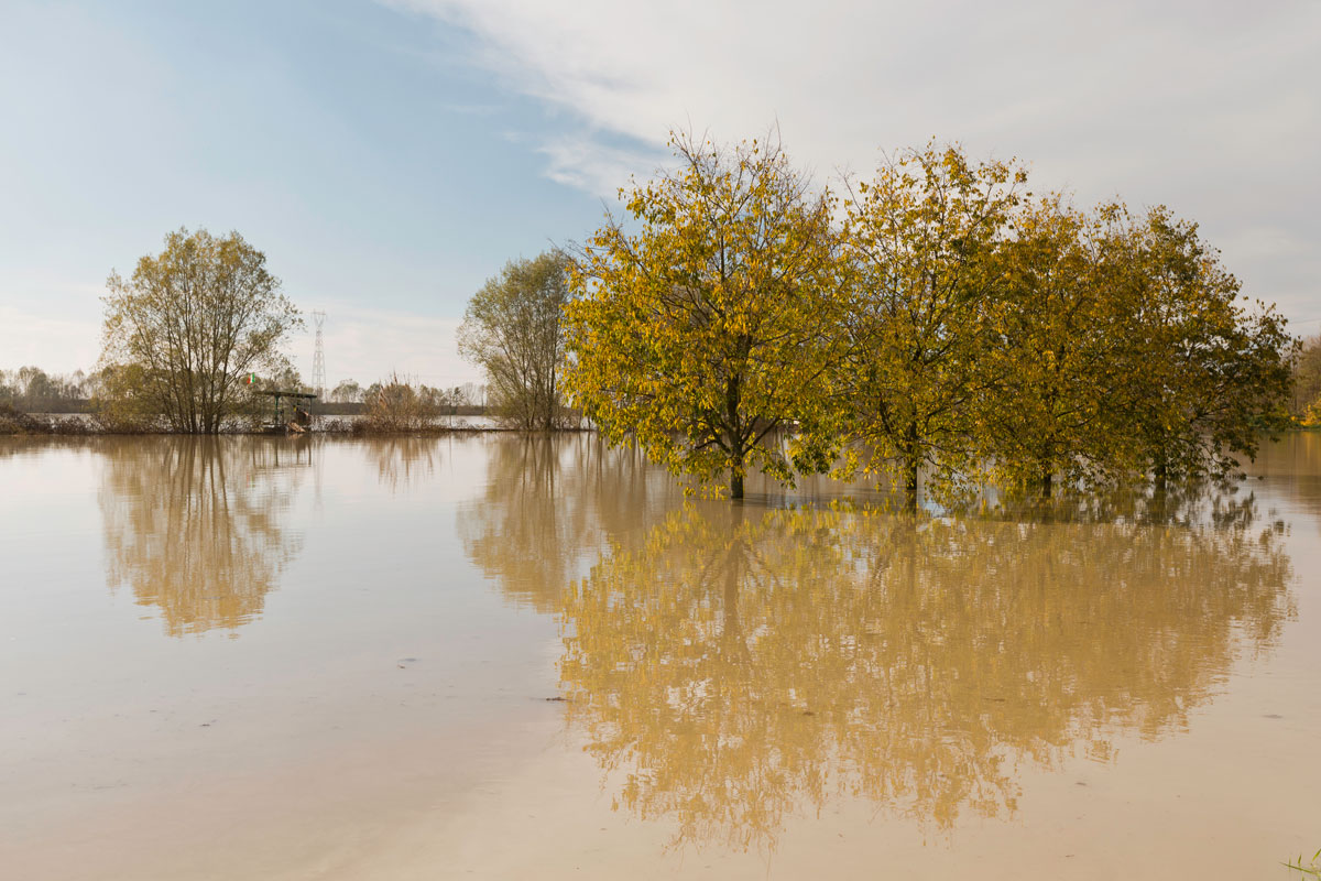 Alluvione in Romagna, l’aiuto dal food&beverage