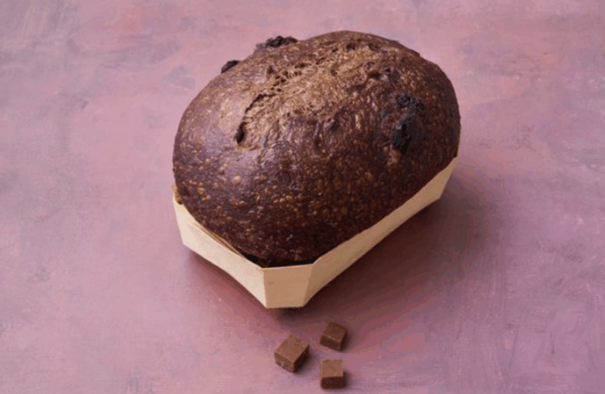 Bauletto al cacao artigianale con crosta scura, gocce di cioccolato e cubetti fondenti su sfondo rosa